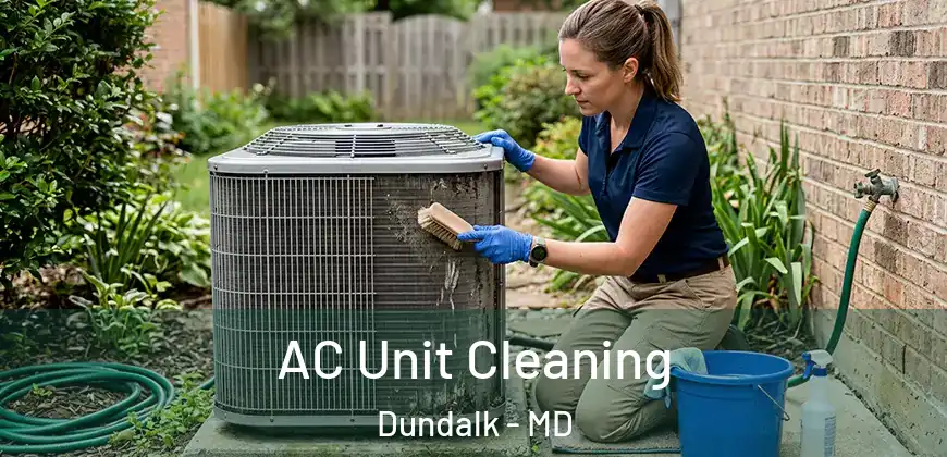  AC Unit Cleaning Dundalk - MD