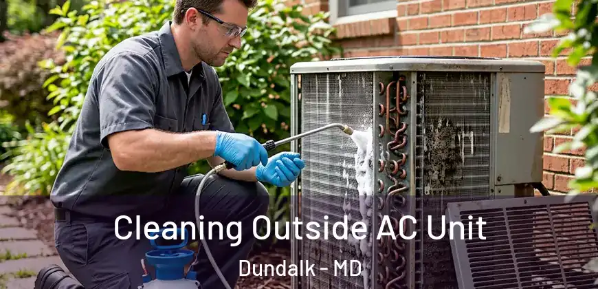  Cleaning Outside AC Unit Dundalk - MD